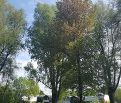 20170517_105506