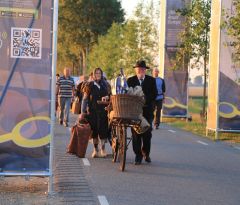 IMG_6266
