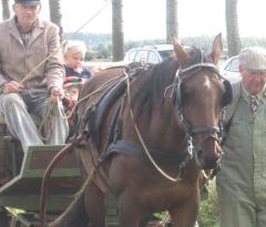 onthulling bevrijdingsbrug (21)