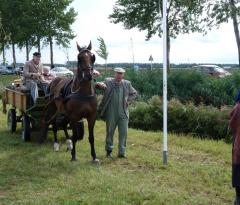 onthulling bevrijdingsbrug (60)